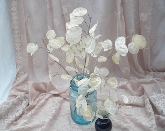 A collection of Lunaria stems for crafting- Honesty Plant, Silver Dollar Plant- Unique stems for floral decor and crafting