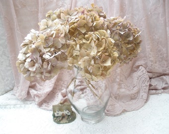 6 large pink/purple/beige naturally dried hydrangeas with stems for vase or crafts,  Rustic wedding flowers,  Cottage Chic decor