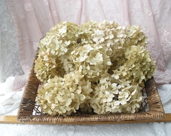 20 short stemmed dried hydrangeas in neutral tones,  Craft hydrangeas,  DIY floral,   DIY Hydrangea wreath,  Cottage Chic decor