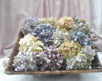 15 multicolored dried hydrangeas with shorter stems,  Farmhouse decor, Country Kitchen decor