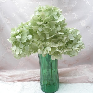 May include: A bouquet of pale green hydrangea flowers arranged in a tall, translucent emerald green glass vase with vertical ribbed detailing. The flower heads are full and rounded, featuring numerous small, delicate petals.