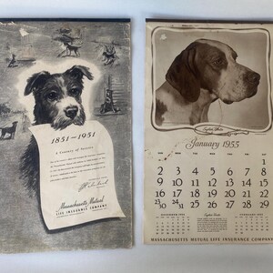 May include: Two vintage calendars. The left calendar features a dog illustration and the text "1851-1951 A Century of Service" and "Massachusetts Mutual Life Insurance Company." The right calendar is for January 1955, with a dog portrait.