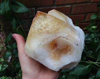 Huge raw citrine crystal quartz point rainbow flash 3.25 lbs