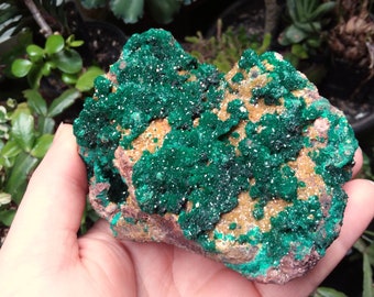 Large 1lb 4oz Gemmy Green Dioptase crystal cluster with Wulfenite, Mimetite 1 lb 4 oz