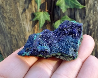 Azurite crystals on Malachite matrix cluster specimen
