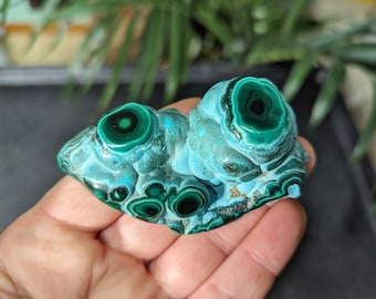 Chrysocolla Malachite botryoidal stalactite nodule polished free form
