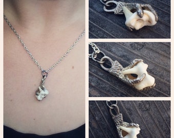 Coyote Molar Tooth (Small) with Silver Talon Necklace Pendant Real Bone