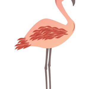 May include: A stylized illustration of a flamingo in shades of pink and peach. The bird has a curved neck, closed eyes, and a dark beak. Its body features a cluster of red-brown feathers, and it stands on long, gray legs against a white background.