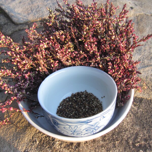 Japanese Indigo Seeds from 2015 Harvest- Persicaria tinctoria, formerly Polygonum tinctorium.