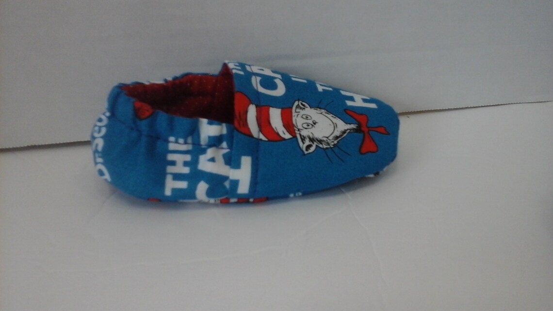 cat in the hat slippers