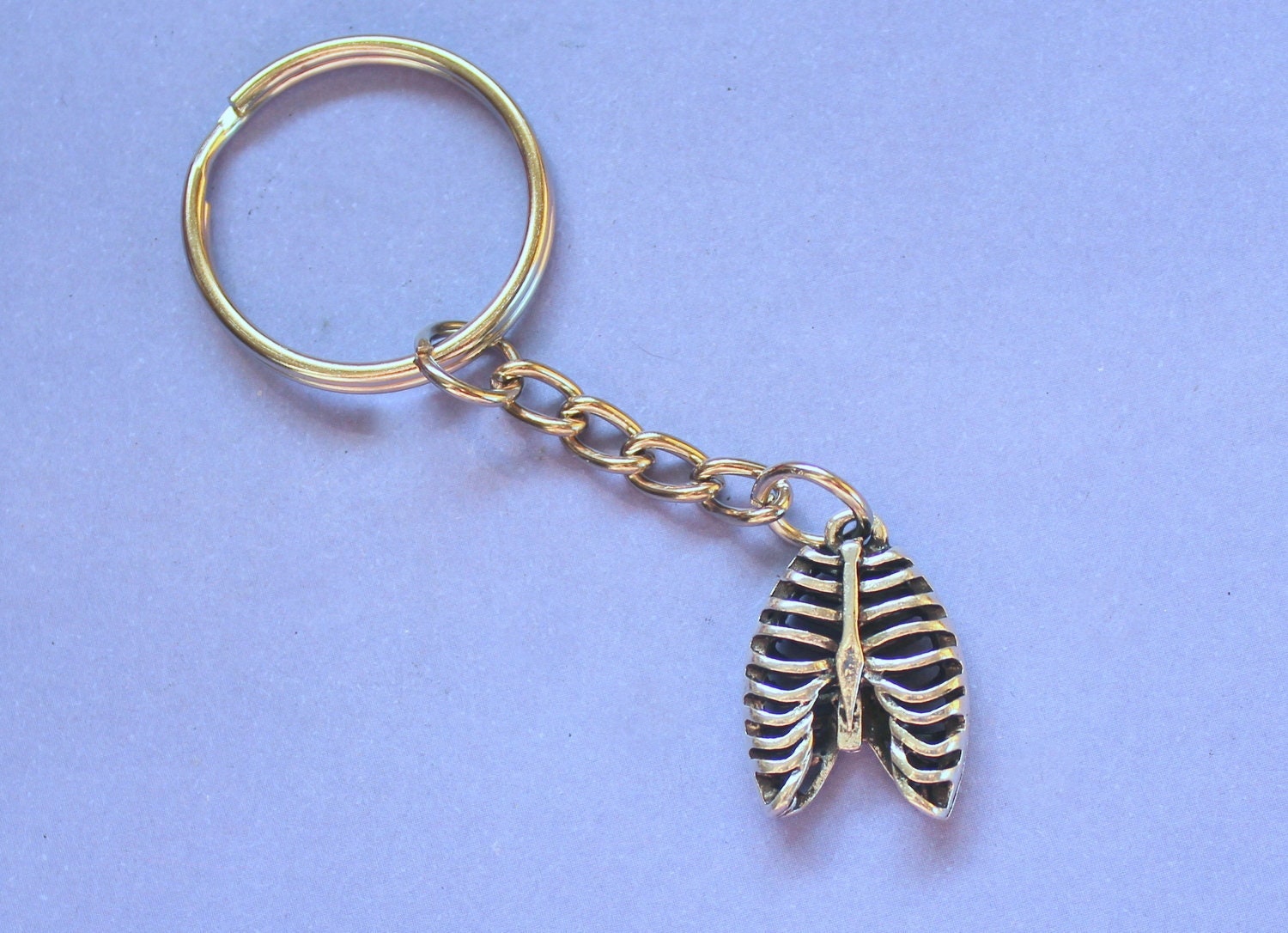 Digestive Key Ring Ribcage Keyring,anatomical Rib Cage Keyring,gift for Doctor,skeleton ...