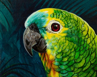 Blue-fronted Amazon - Original painting