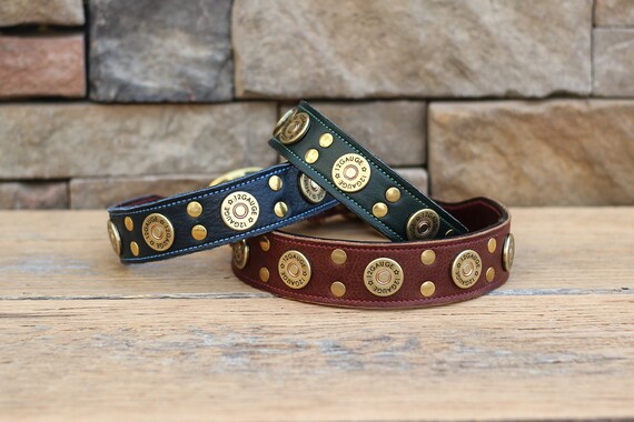 wellness dog food advisor