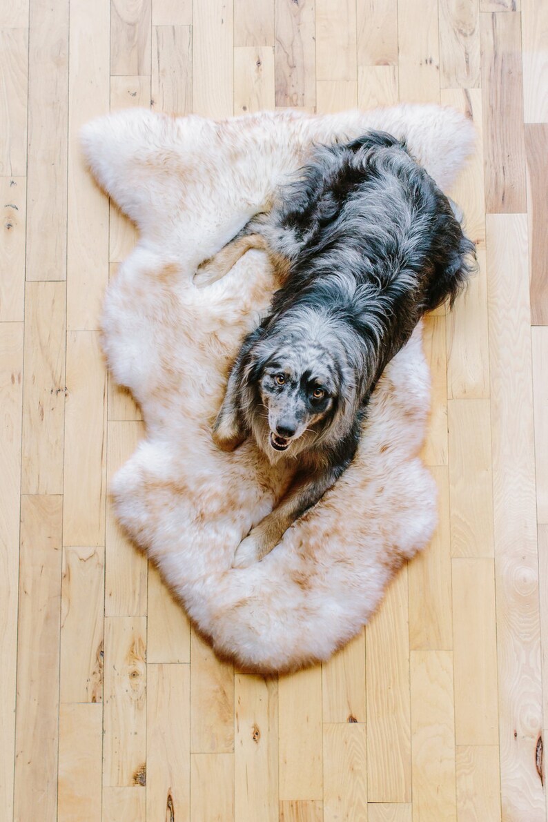 Sheepskin Rug // Sheepskin Dog Bed // Gray Tipped Sheepskin // Etsy
