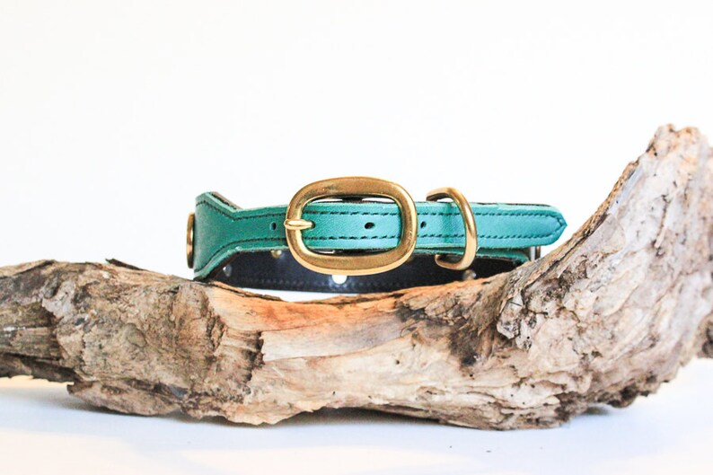 Leather Dog Collar // 12 Gauge Shotgun Shell Dog Collar | Etsy