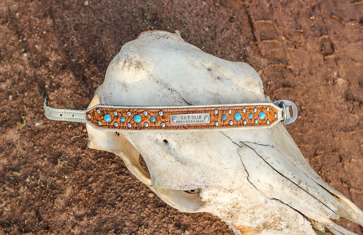 PERSONALIZED Dog Collar // Name Plate Leather and Turquoise Etsy