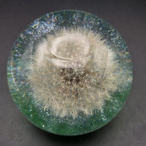 Dandelion Paperweight