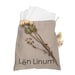 Len Linum