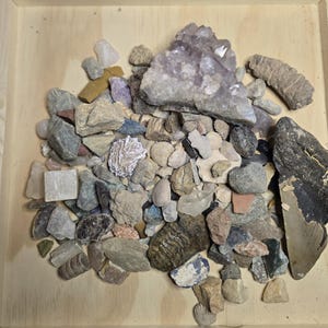 May include: A collection of various rocks and minerals, including amethyst, quartz, and fossils, displayed in a wooden tray. The assortment features a range of colors and textures, from smooth pebbles to crystalline structures. The tray is made of light-colored wood.