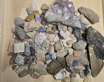May include: A collection of various rocks and minerals, including amethyst, quartz, and fossils, displayed in a wooden tray. The assortment features a range of colors and textures, from smooth pebbles to crystalline structures. The tray is made of light-colored wood.