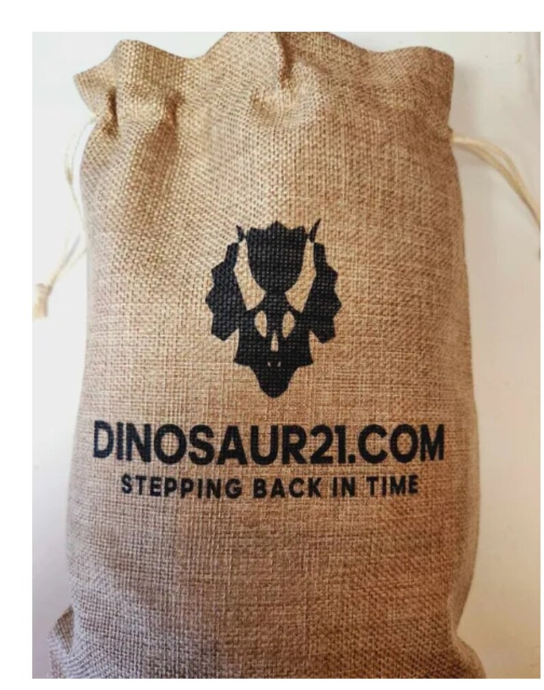 Pode incluir: Uma bolsa de juta marrom com cord&atilde;o de ajuste com uma silhueta de dinossauro preta e o texto "DINOSAUR21.COM STEPPING BACK IN TIME".