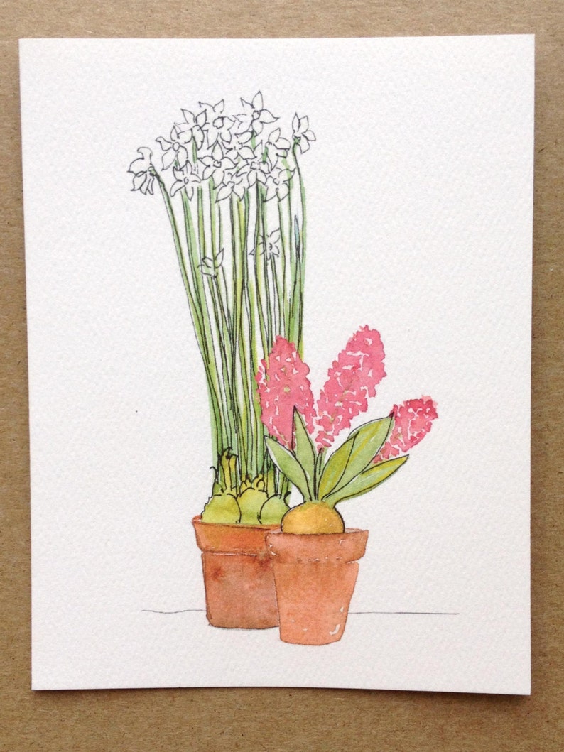 Paper Whites and Hyacinth Holiday Card
