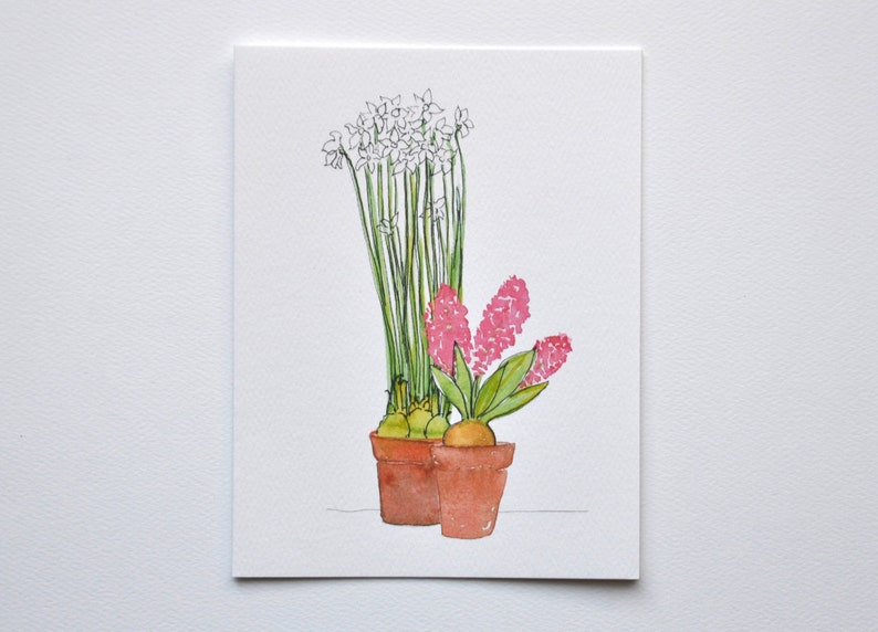Paper Whites and Hyacinth Holiday Card
