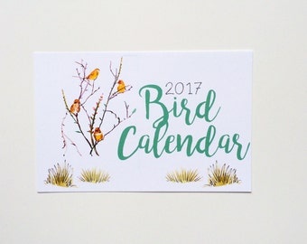 2017 Illustrated Bird Wall Calendar
