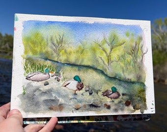 Mallard Ducks Watercolor Painting | Denver, Colorado | ORIGINAL En Plein Air Wall Art