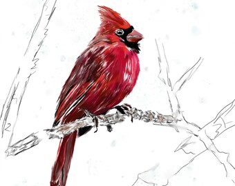 Cardinal in the Snow Print - Third Wolf