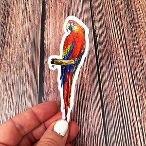 Parrot Vinyl Decal Sticker