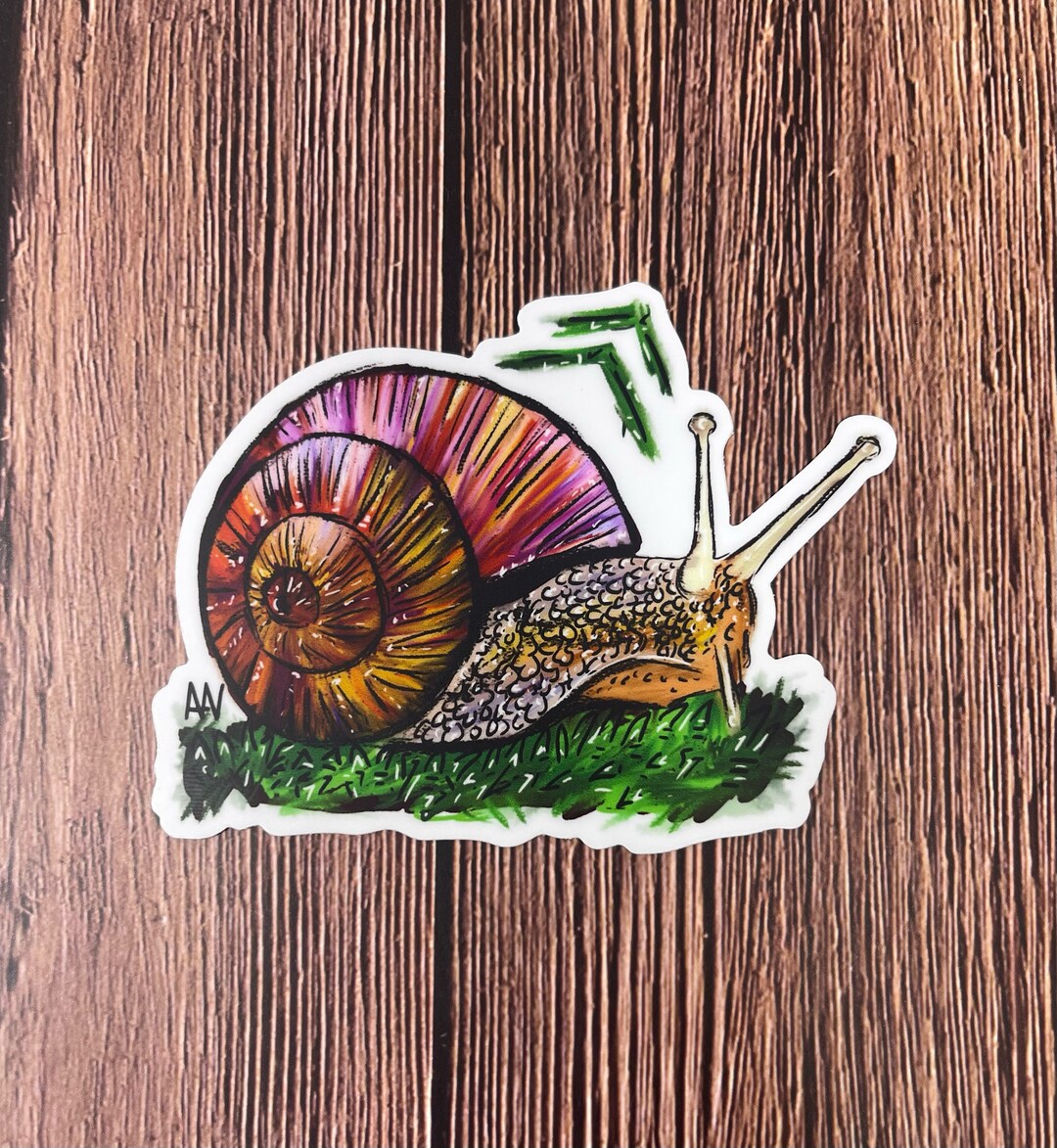 Snail Performance Sticker Snail Vinyl Decal Sticker - Etsy