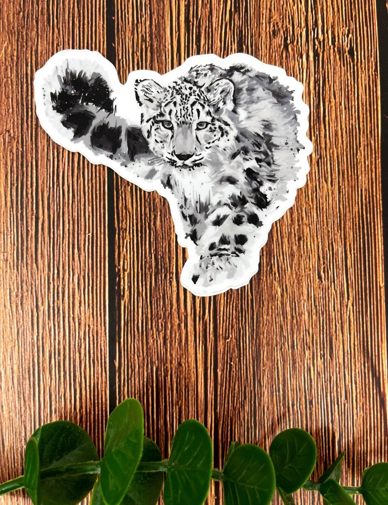 May include: A black and white watercolor illustration of a snow leopard walking with its head turned to the side. The snow leopard is facing the viewer and has a white background.