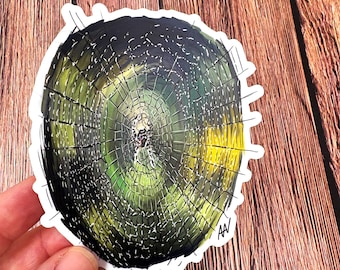 Spider Web Sticker Vinyl Decal Sticker