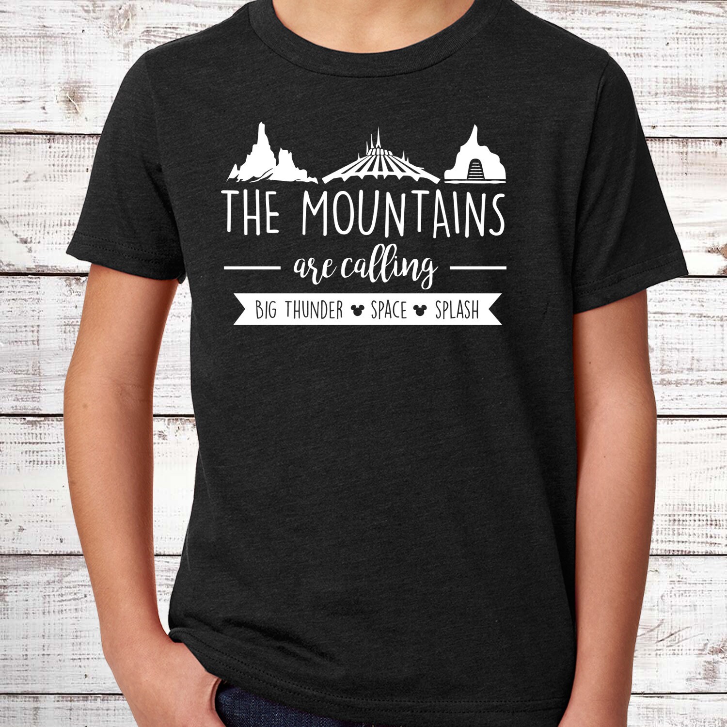 Disney the Mountains Are Calling Next 