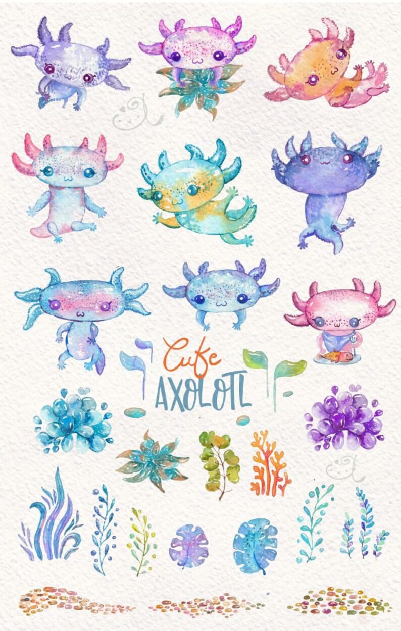 Axolotl Clip Art Watercolor Axolotl | Etsy