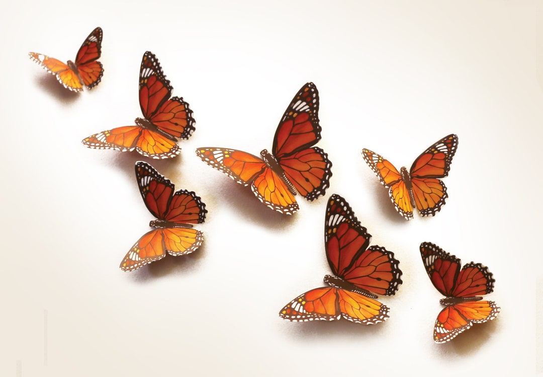Printable Paper Monarch Butterflies Home Decor Craft Etsy Australia