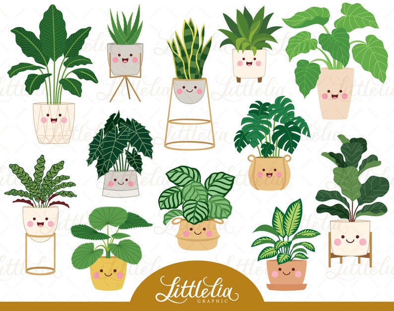 House Plant Clipart Kawaii Plant Clipart Indoor Plant Etsy
