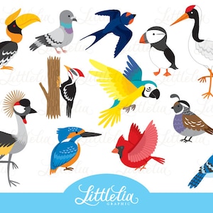 Bird 2 clipart - Avian 2 clipart - exotic bird clipart -  16043