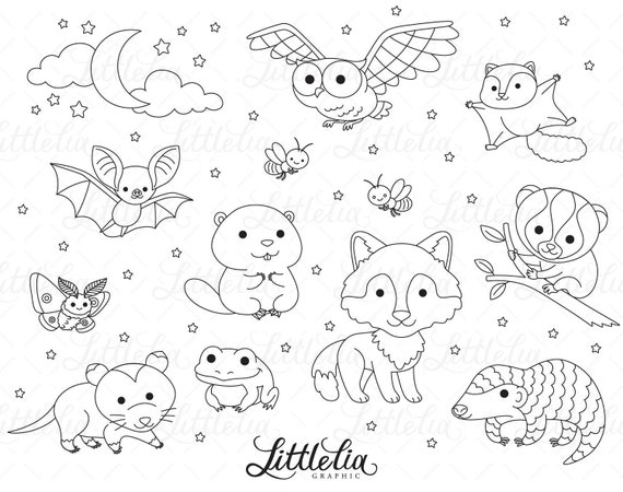 Nocturnal animal Night animal clipart 22005 Including - Etsy México