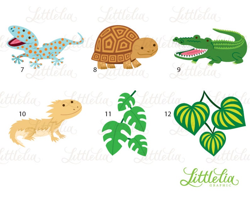 Reptile clipart reptile cute 16019 image 3