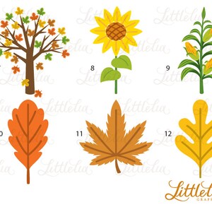 May include: Set of 12 autumn-themed clip art images, including a tree with red, orange, and yellow leaves, a sunflower, a corn stalk, and various leaves in shades of orange, yellow, and brown.