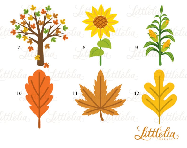 May include: Set of 12 autumn-themed clip art images, including a tree with red, orange, and yellow leaves, a sunflower, a corn stalk, and various leaves in shades of orange, yellow, and brown.