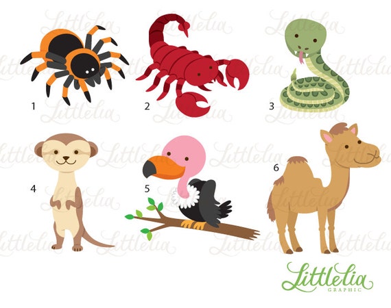 Desert Animal Clipart Animal Clipart Desert Clipart - Etsy Australia Desert Animal Clipart Animal Clipart Desert Clipart - Etsy Australia