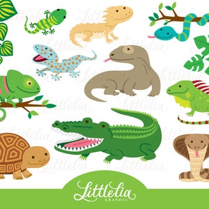 Reptile clipart - reptile cute - 16019