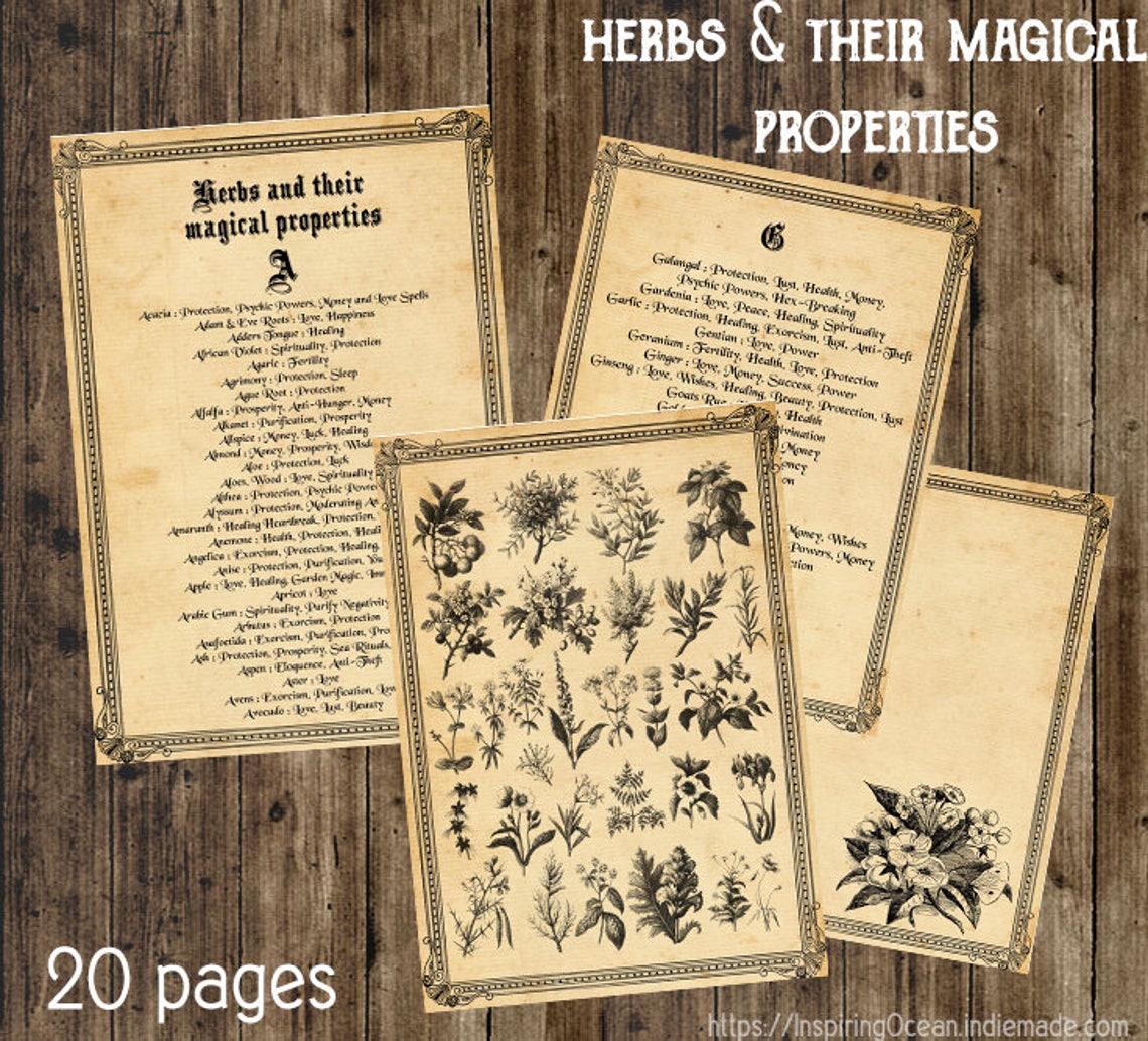Herbs Guide & Their Meaning Instant Digital Download Etsy
