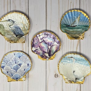 Scallop Shell Trinket Dish