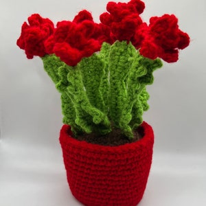May include: A crocheted potted plant with red flowers and green leaves. The pot is also crocheted and red.