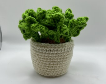 Potted clover // crochet flowers // amigurumi // play flowers