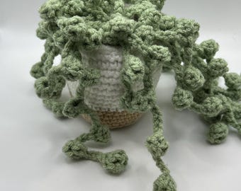 String of pearls in a pot  // crochet flowers // amigurumi // play flowers